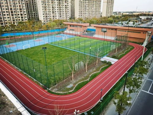 匯聚體育力量，共筑健康青浦——青浦區(qū)全民健身體育組織年度工作盤點(diǎn)